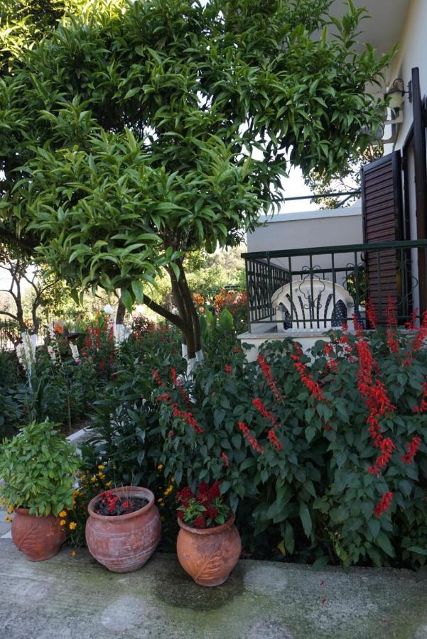 Villa Nikolaou Parga Ngoại thất bức ảnh
